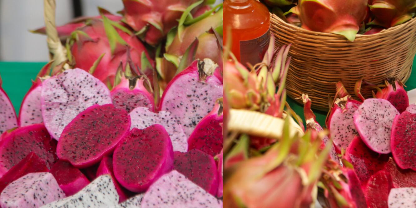 Cultivo de Pitahaya en Puebla / Foto EsImagen