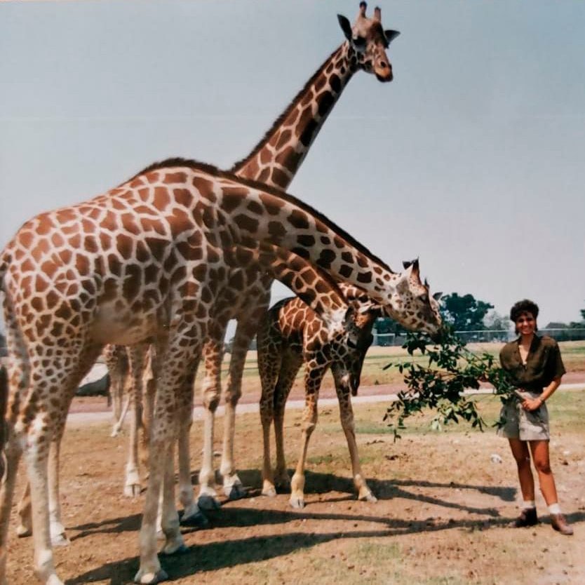 El parque de conservación de vida silvestre más antiguo de Puebla se fundó en los 70 | Foto: Africam Safari