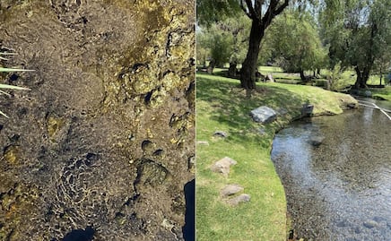 Este es el balneario de Puebla donde nace el agua