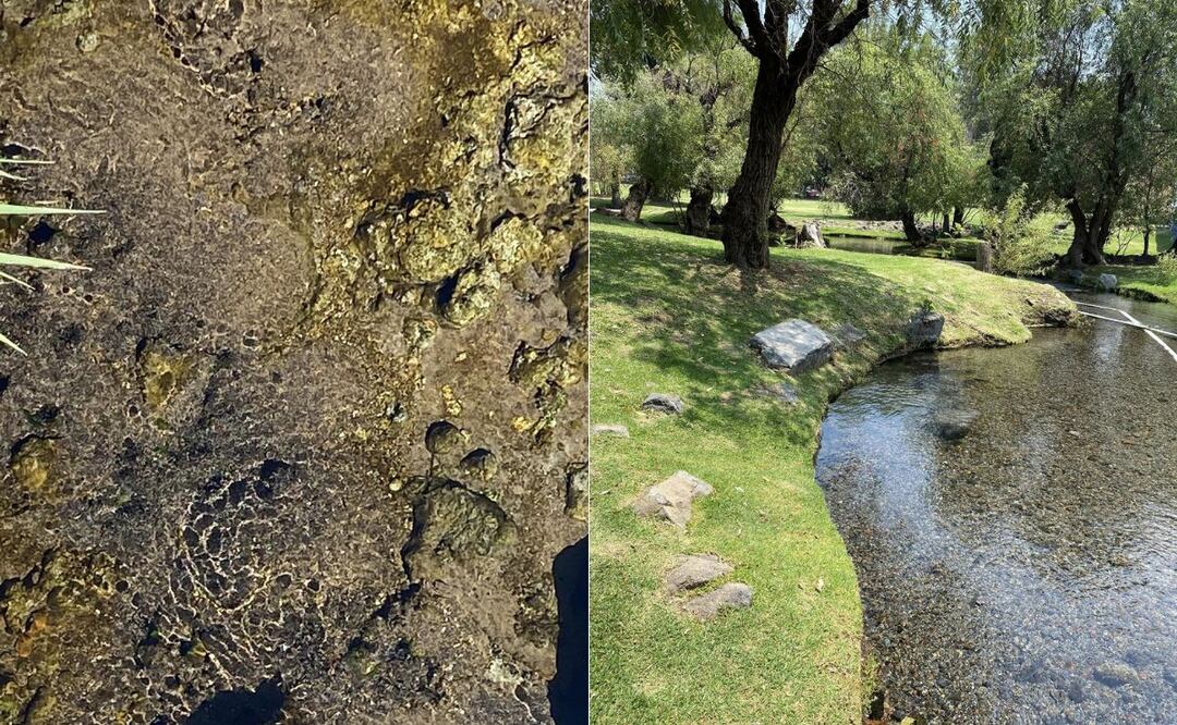En el Pueblo Mágico de Atlixco se encuentra un balneario donde nace el agua | Foto: Facebook Balneario Axocopan