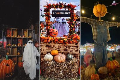 Pumpkin Zone: el lugar en Puebla donde podrás tallar calabazas este Halloween 2025