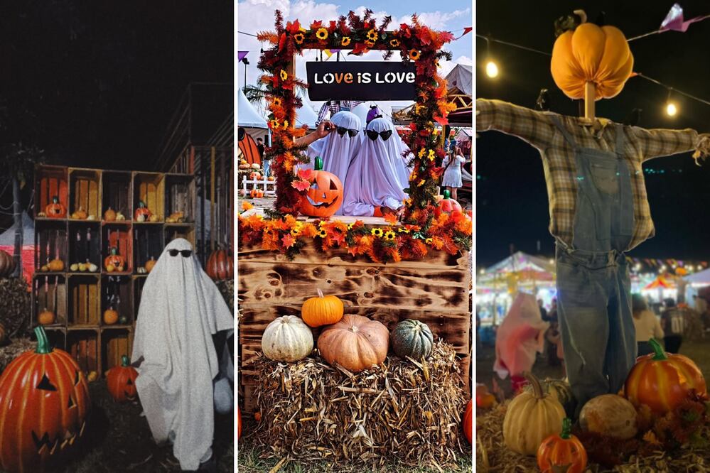 Pumpkin Zone es el sitio perfecto para celebrar Halloween | Foto: IG Pumpkin Zone