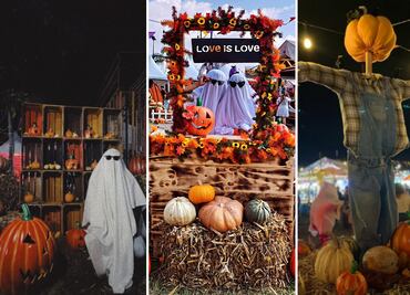 Pumpkin Zone: el lugar en Puebla donde podrás tallar calabazas este Halloween 2025