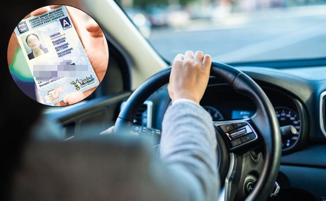 Hay algunos requisitos importantes a tomar en cuenta / Foto: Freepik / Archivo El Universal