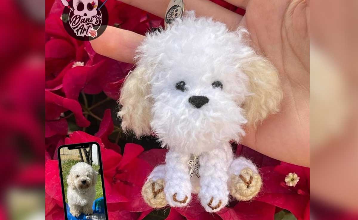 Inmortaliza a tu lomito tejido en forma de peluche o llavero