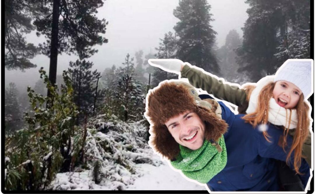 Pasear en paisajes con nieve es en realidad muy barato | Foto: Parque Nacional La Malinche, Tlaxcala / freepik