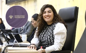 Proponen fortalecer la protección de las niñez contra la violencia vicaria