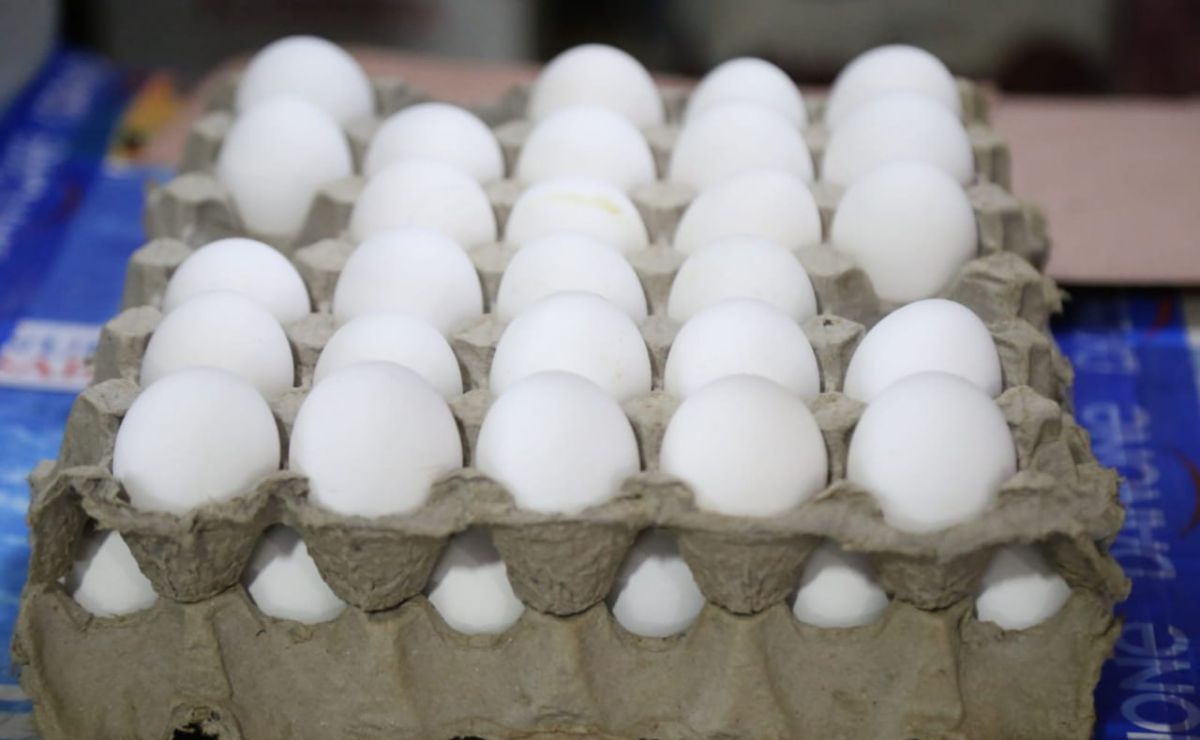 Avicultores poblanos decidieron restringir el envío de sus productos como huevo y pollo | Foto: Agencia Es Imagen para El Universal Puebla