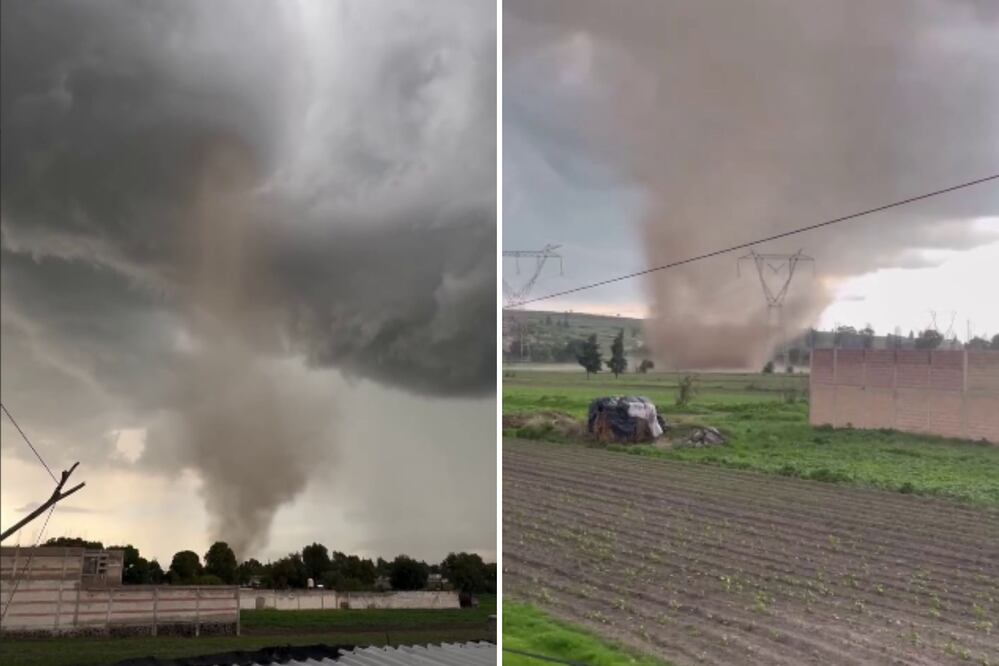 Una víbora de agua sorprendió a los poblanos | Foto: Redes Sociales