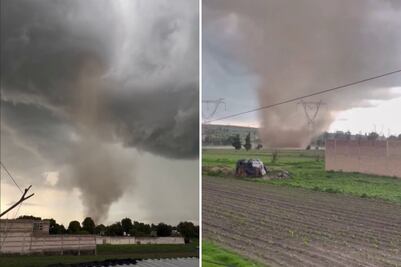 VIDEO Víbora de agua sorprende a vecinos de San Baltazar Temaxcalac