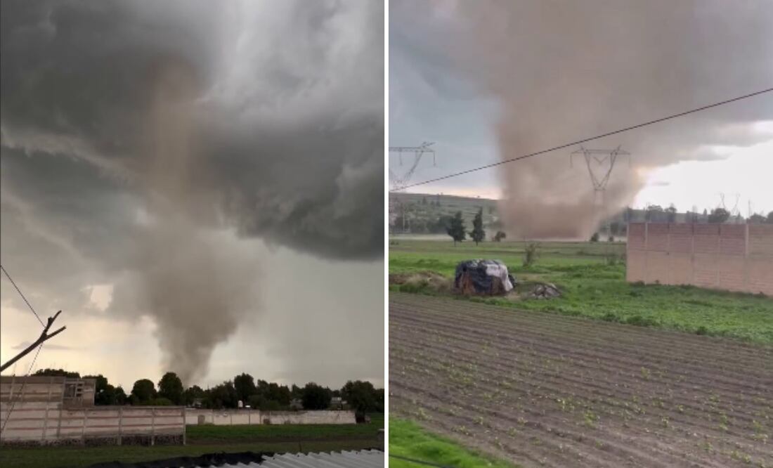 Una víbora de agua sorprendió a los poblanos | Foto: Redes Sociales