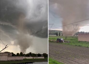VIDEO Víbora de agua sorprende a vecinos de San Baltazar Temaxcalac