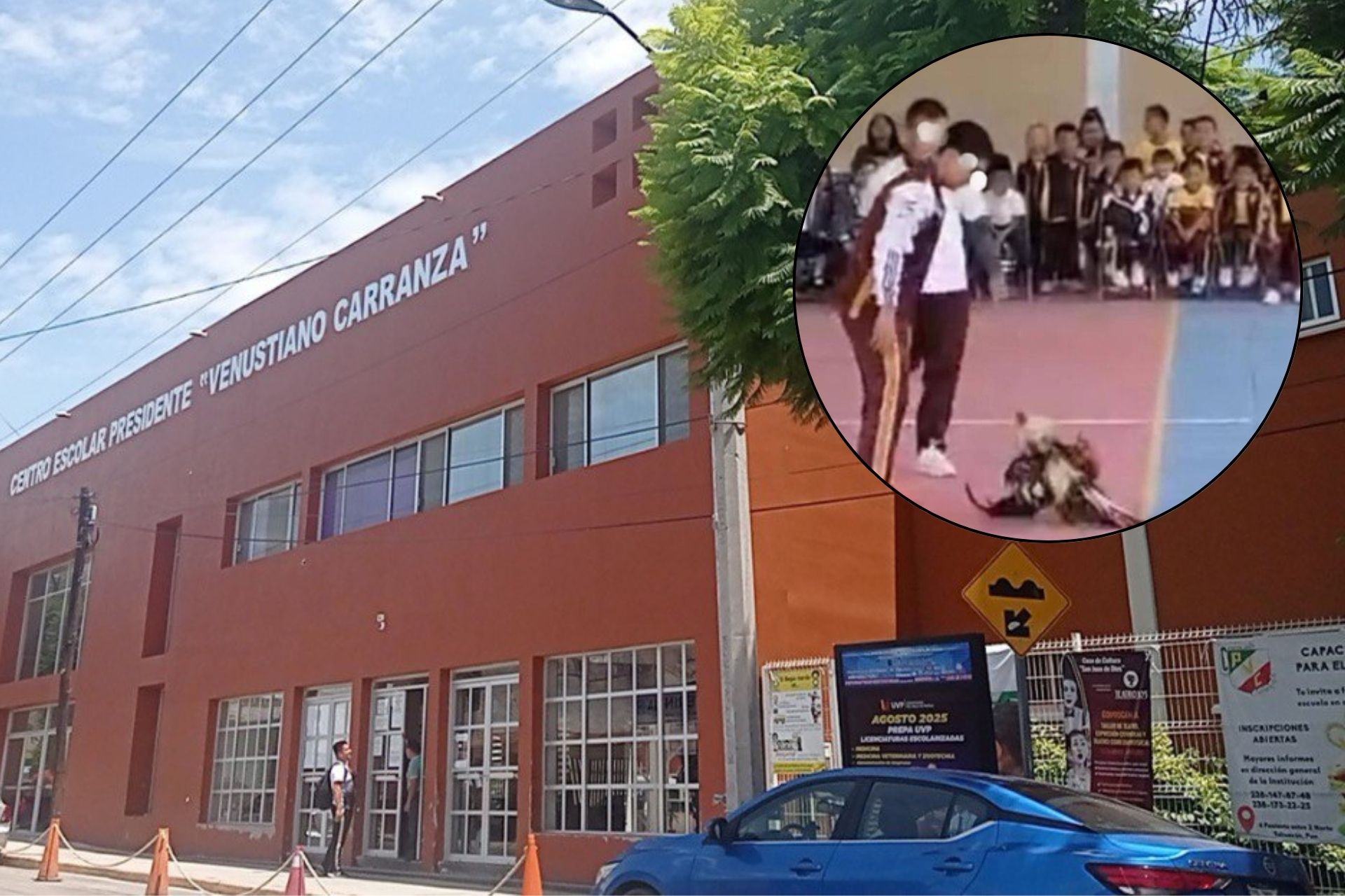 Escuela en Tehuacán celebra fin de cursos con pelea de gallos y desata polémica en redes sociales