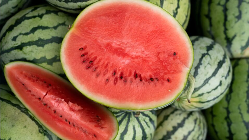 En resumen, no hay evidencia científica que respalde los efectos negativos de comer sandía durante la noche, y, de hecho, disfrutar de esta fruta puede ser una opción saludable y refrescante para la cena, siempre que se consuma con moderación y se mantenga un equilibrio en la dieta general.

Foto: Producción El Universal Puebla