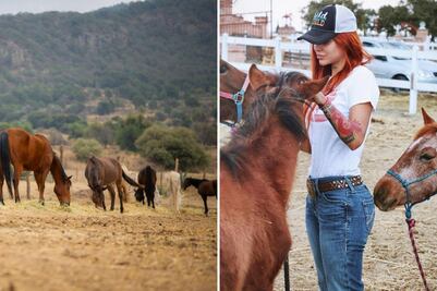 Cuacolandia se muda a Tlaxcala a un año de la muerte de Elena Larrea