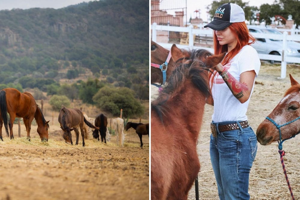 Cuacolandia se mudó a Tlaxcala | Foto: Cuacolandia