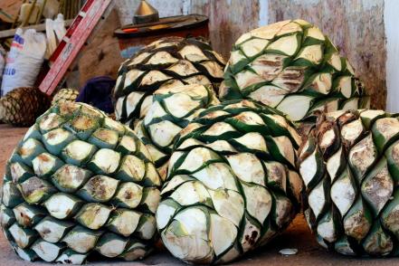 Crece la industria del mezcal hecho en Puebla