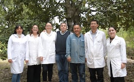 Crean nanomateriales en la BUAP para combatir plagas por gusano barrenador