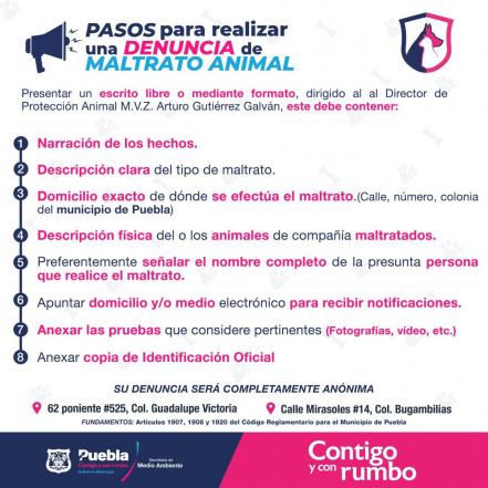 Maltrato animal se castiga en Puebla, conoce los motivos de sanción