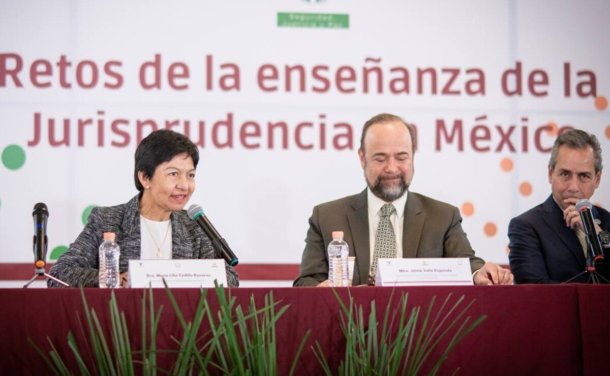 Lilia Cedillo propone abordar la Jurisprudencia desde ejes transversales