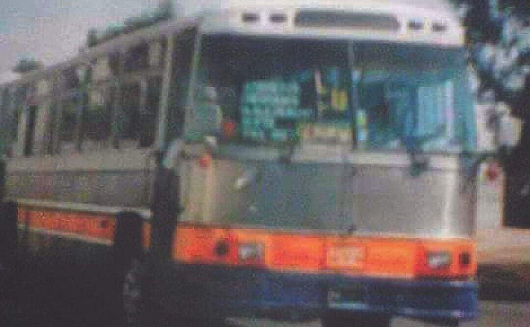 Los camiones del Perimetral también fueron conocidos como "Chatos" | Foto: Puebla de Antaño