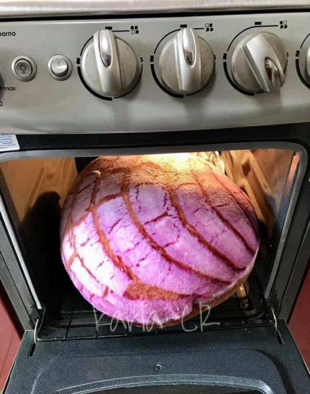Duerme rodeado de pancito: ya llegaron las almohaconchas