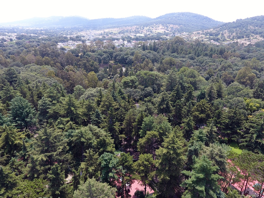 Certifican a Flor del Bosque como Área de Conservación