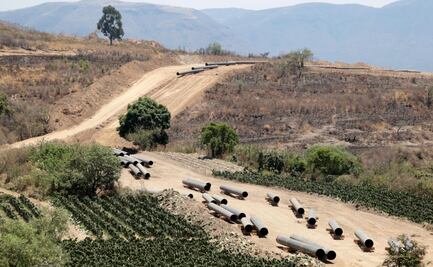 Cuatro conflictos ambientales que se reactivaron con el Popocatépetl  