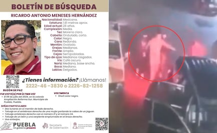 VIDEO Ricardo Meneses fue levantado tras choque en Reforma Sur