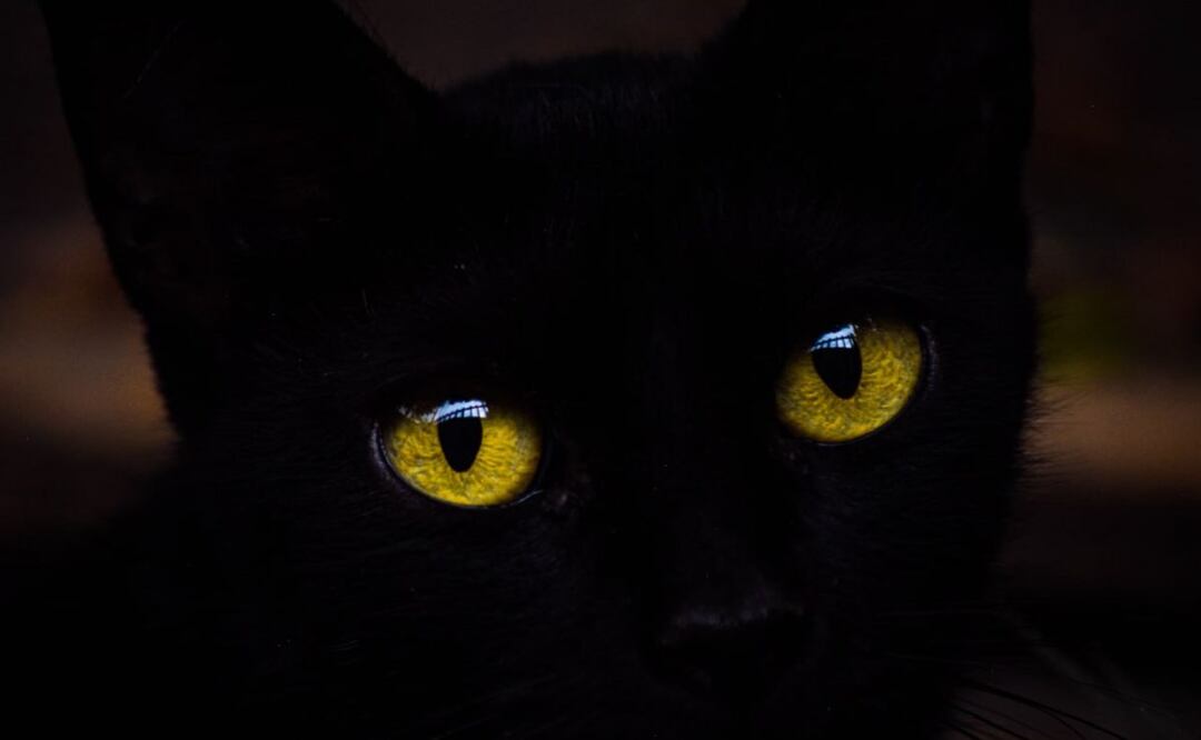 El martes 13 es considerado de mala suerte en muchas culturas, sin embargo, no hay evidencia científica que lo sustente | Foto: Agencia Es Imagen para El Universal Puebla