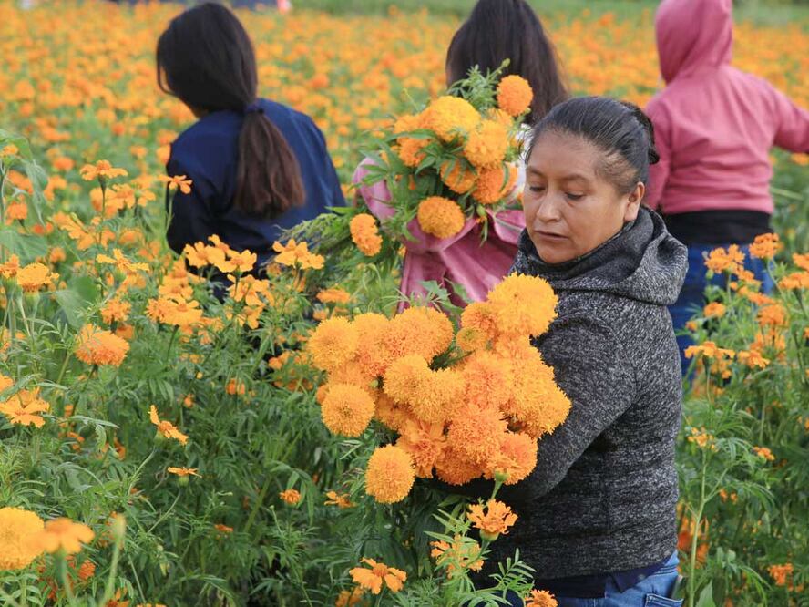 Foto: Agencia Es Imagen para El Universal Puebla