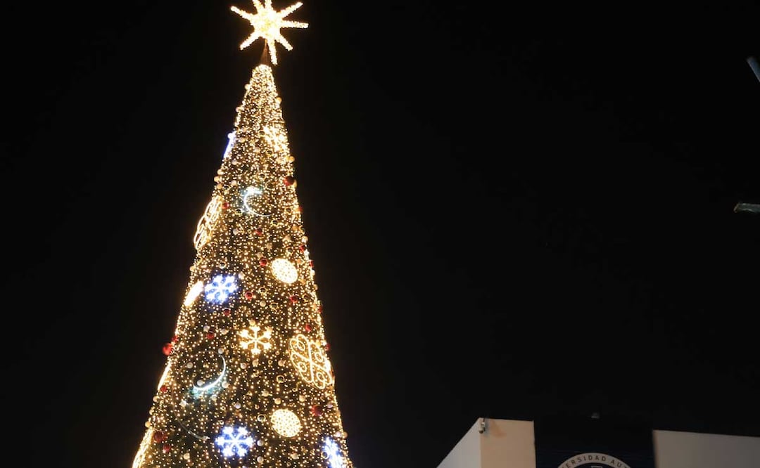 Los árboles navideños gigantes son un atractivo más de Puebla | Foto: Agencia Es Imagen para El Universal Puebla
