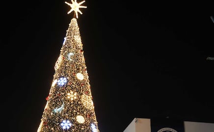 5 árboles monumentales para visitar en Puebla