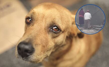 VIDEO Adultos mayores golpean salvajemente a perrito en Puebla y los funan en redes