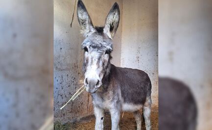 Así fue el primer rescate en Cuacolandia tras la muerte de Elena Larrea
