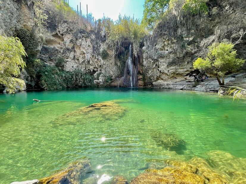 Foto: Instagram Carlos Carrera @ccarrerae