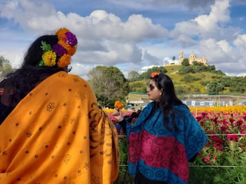 Visita los campos de cempasúchil en Puebla para sacar tus mejor selfie