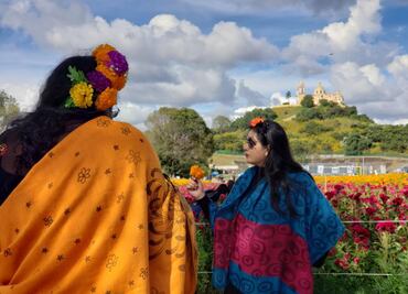 Visita los campos de cempasúchil en Puebla para sacar tus mejor selfie