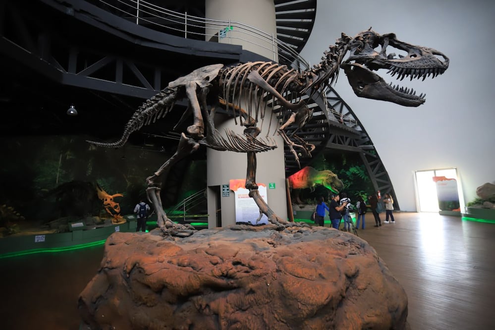 El Museo de la Evolución de Tehuacán cuenta la historia de la Tierra y de la humanidad | Foto: Agencia Es Imagen para El Universal Puebla