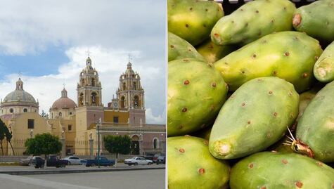 Feria de la Tuna y el Nopal 2024: Fecha y lugar