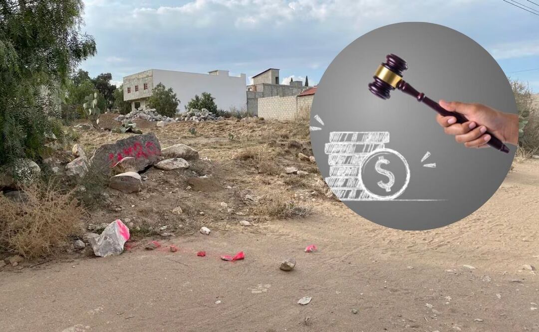 En la zona metropolitana de Puebla se han detectado 50 lotes baldíos | Foto: Archivo El Universal / Freepik