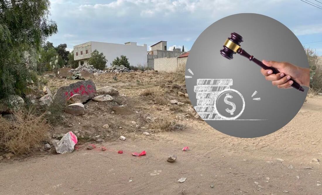 En la zona metropolitana de Puebla se han detectado 50 lotes baldíos | Foto: Archivo El Universal / Freepik