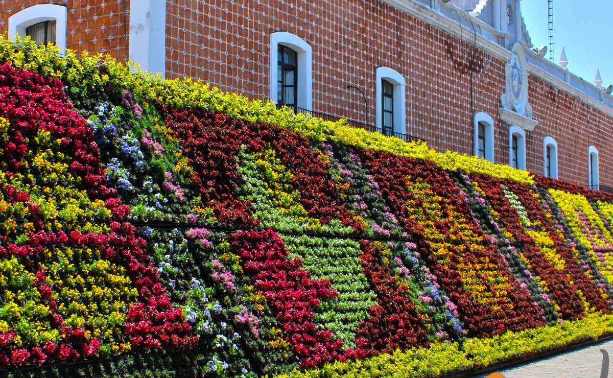 Mosaico floral gigante y más actividades de primavera que ofrece Atlixco mágico