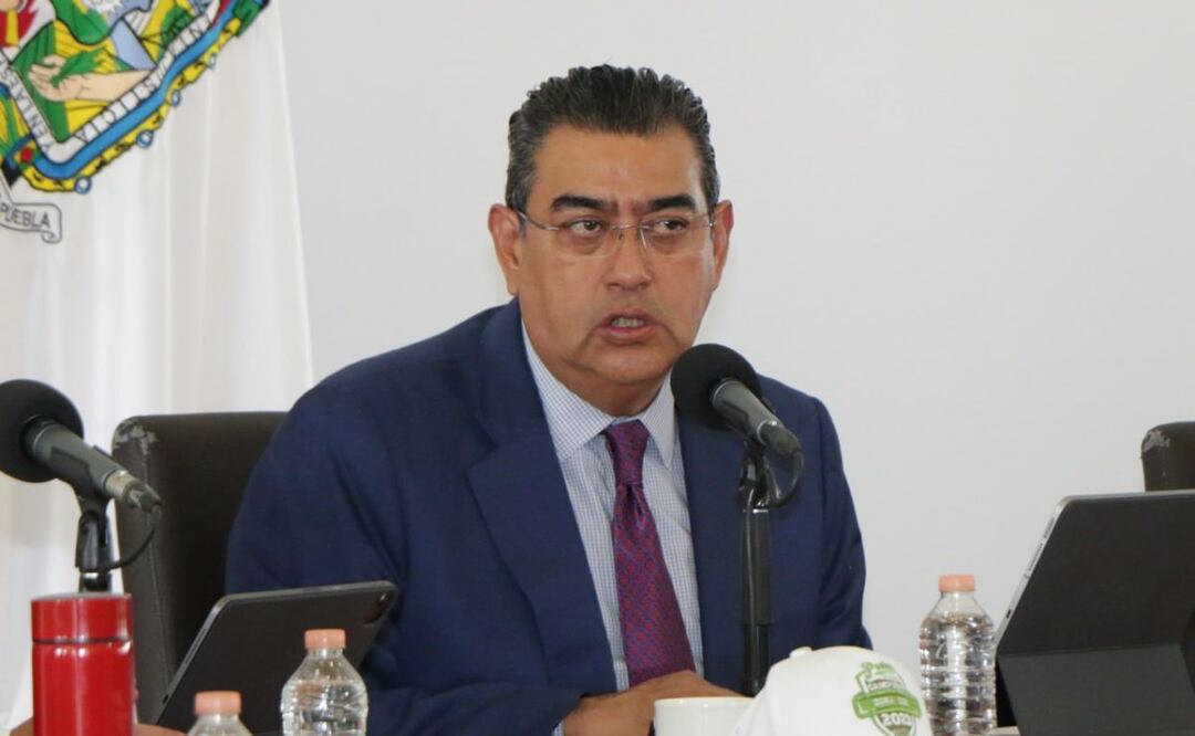 El gobierno de Puebla diseñará una iniciativa de ley a favor de la protección de animales como los perros y gatos | Foto: Agencia Es Imagen para El Universal Puebla