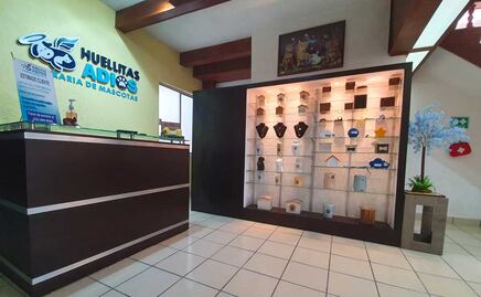 Cementerio de mascotas en Puebla. Aquí puedes dar santa sepultura a tu michi o lomito