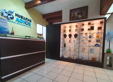 Cementerio de mascotas en Puebla. Aquí puedes dar santa sepultura a tu michi o lomito