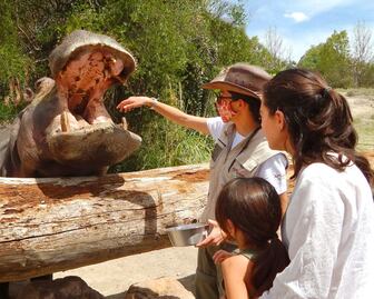 Africam Safari: 5 buenas razones para visitarlo