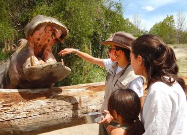 Africam Safari: 5 buenas razones para visitarlo