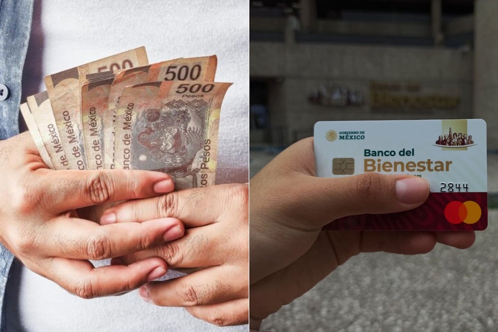 Jóvenes podrían percibir un apoyo económico de 8 mil 480 pesos al mes | Foto: Freepik / EsImagen