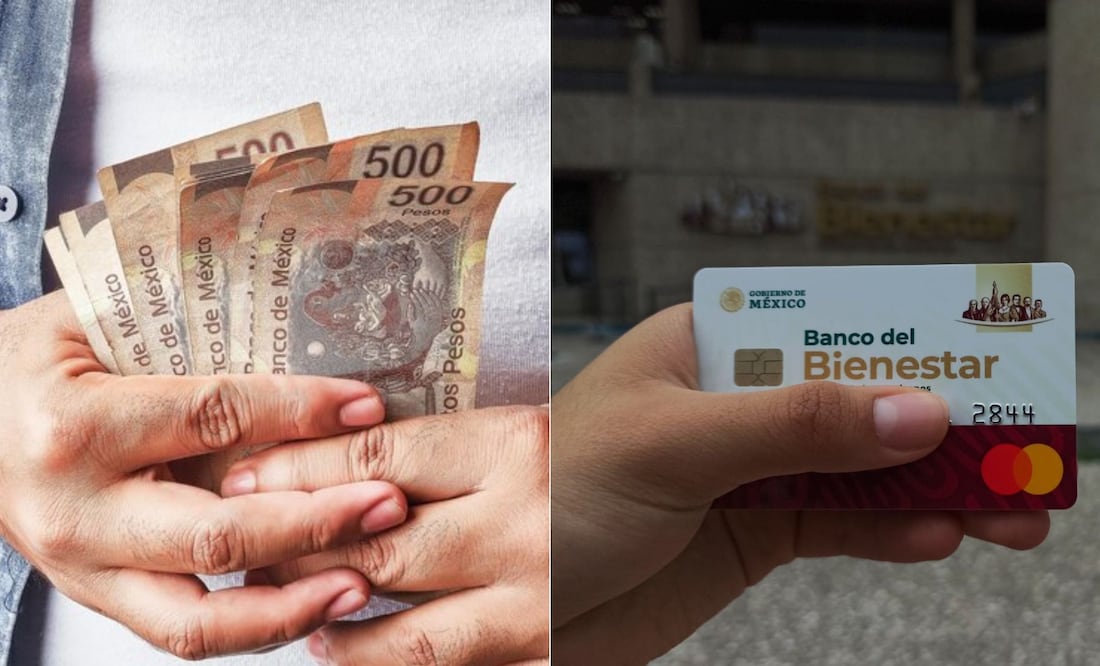 Jóvenes podrían percibir un apoyo económico de 8 mil 480 pesos al mes | Foto: Freepik / EsImagen